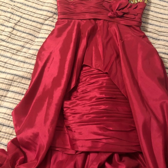 Pink Panoply (14442) Dress - Picture 6 of 8